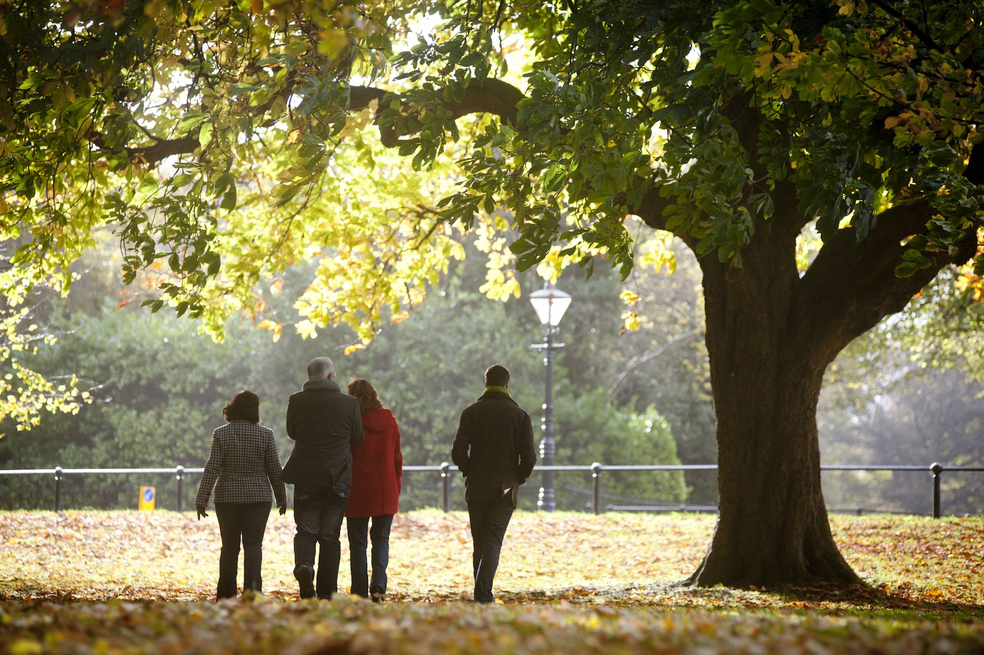 Walking under the trees in Phoenix Park, Dublin, on an autumn day. Ireland's Content Pool. 