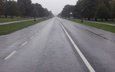 Phoenix Park open to Public as clean up following Papal mass is complete