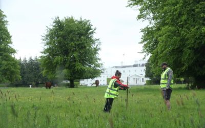 President Higgins welcomes findings of biodiversity report