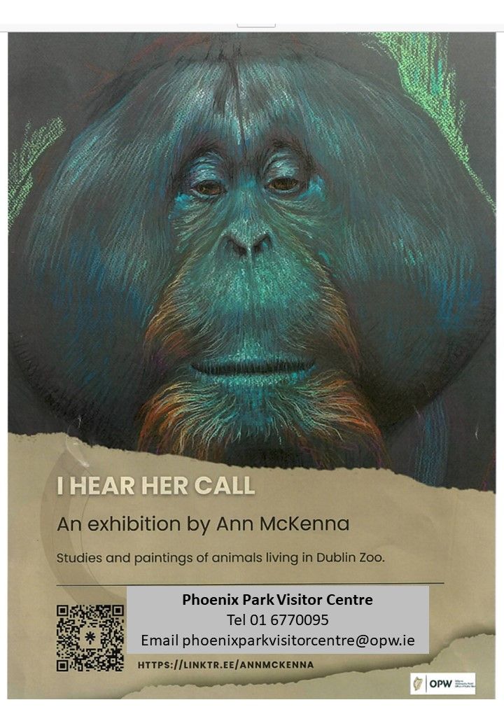 Anne McKenna art exhibition poster